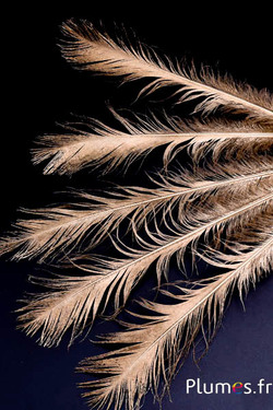 Pavone verde - 28-32 cm - dorato